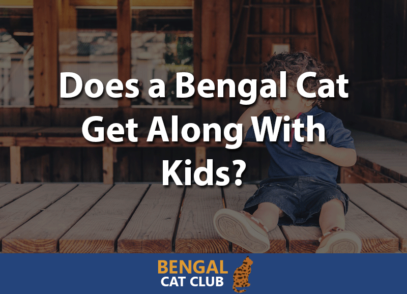 Does a bengal cat get along with kids