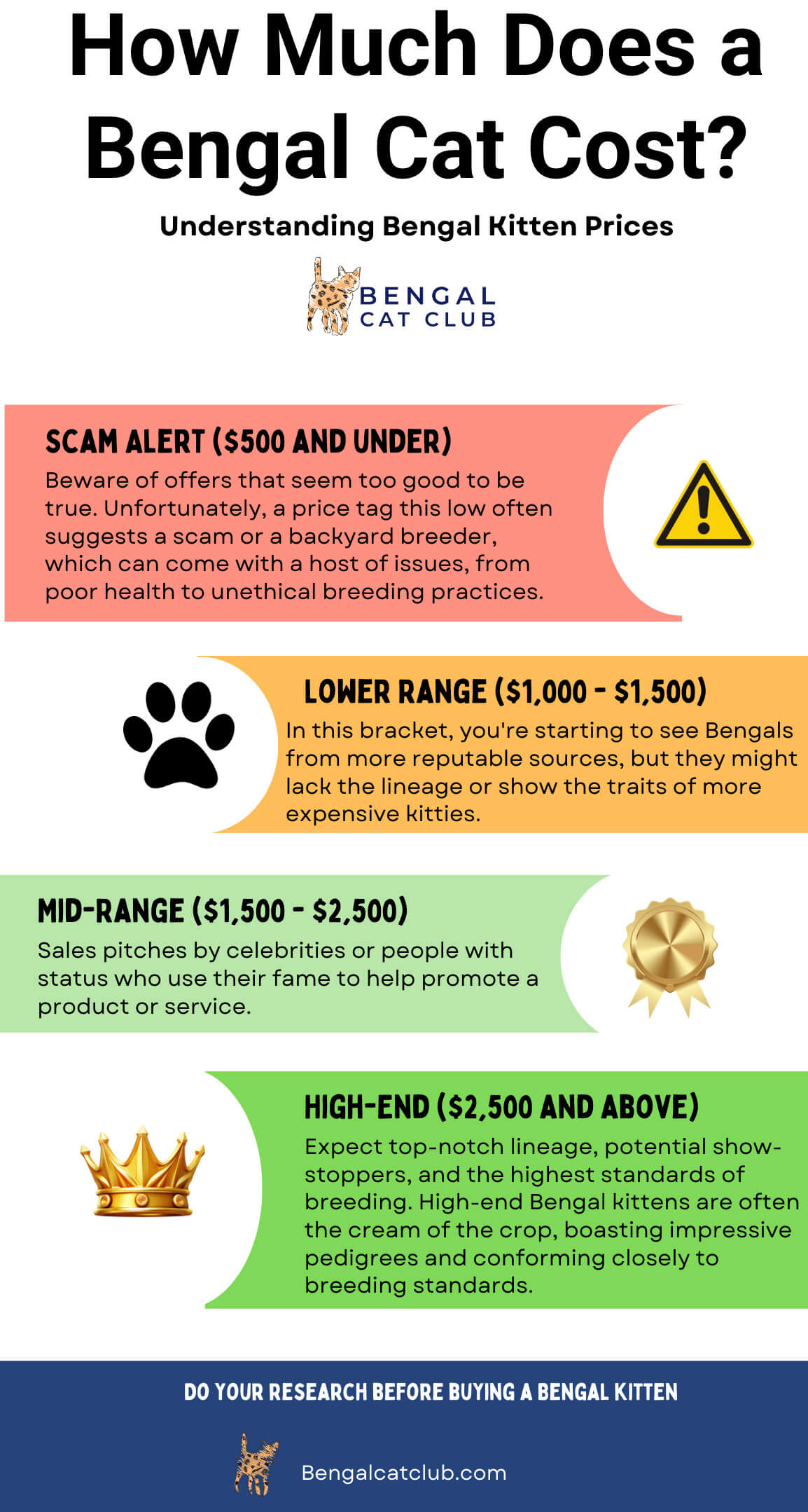 How much does a bengal cat cost? - Bengal Cat Club